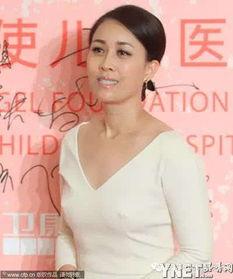 女明星透视凸点图片